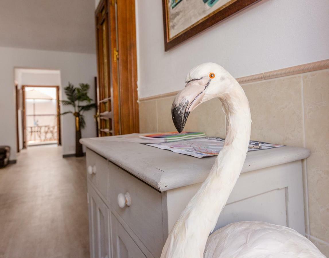 Alhaurin Old Town, Casa Flamingo, 2 Bed Apartment Alhaurín el Grande Esterno foto